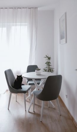 interior, black cat Wallpaper 600x1024