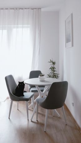 interior, black cat Wallpaper 640x1136