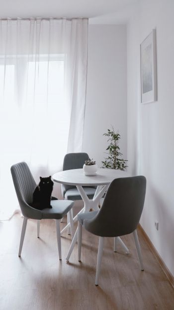 interior, black cat Wallpaper 1080x1920