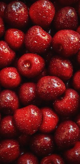cherry, berry Wallpaper 1080x2220