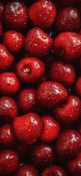 cherry, berry Wallpaper 1284x2778