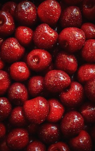 cherry, berry Wallpaper 3206x5078