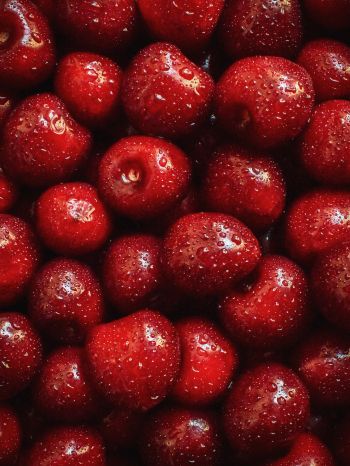 cherry, berry Wallpaper 1668x2224