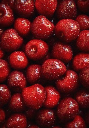 cherry, berry Wallpaper 1668x2388