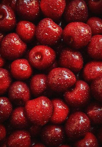 cherry, berry Wallpaper 1640x2360