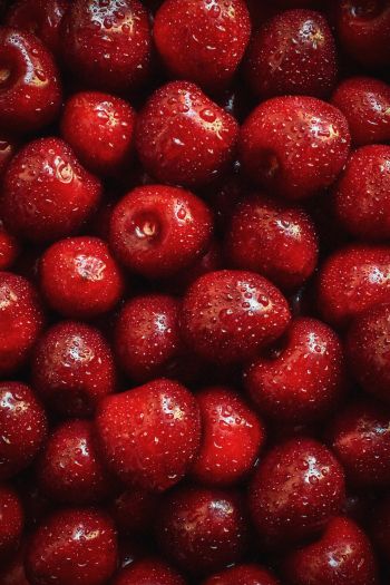 cherry, berry Wallpaper 640x960