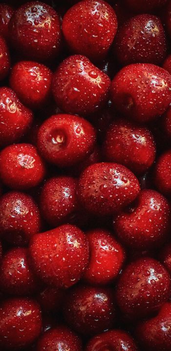 cherry, berry Wallpaper 1080x2220