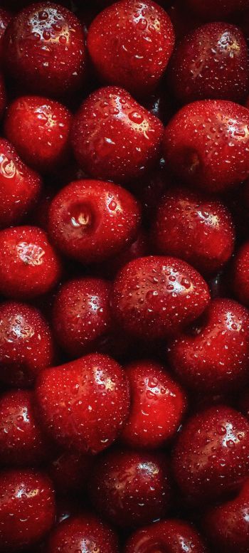 cherry, berry Wallpaper 1440x3200