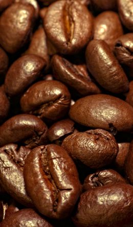 coffee, grains Wallpaper 600x1024