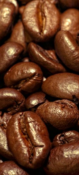 coffee, grains Wallpaper 1080x2400