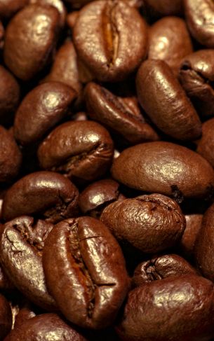 coffee, grains Wallpaper 1752x2800