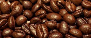 coffee, grains Wallpaper 2560x1080