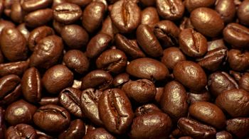 coffee, grains Wallpaper 1366x768