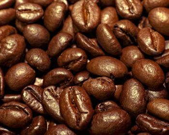 coffee, grains Wallpaper 1280x1024