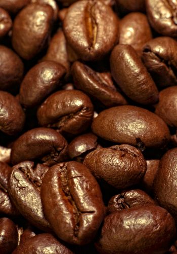 coffee, grains Wallpaper 1668x2388
