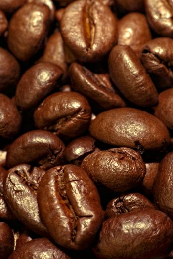 coffee, grains Wallpaper 640x960