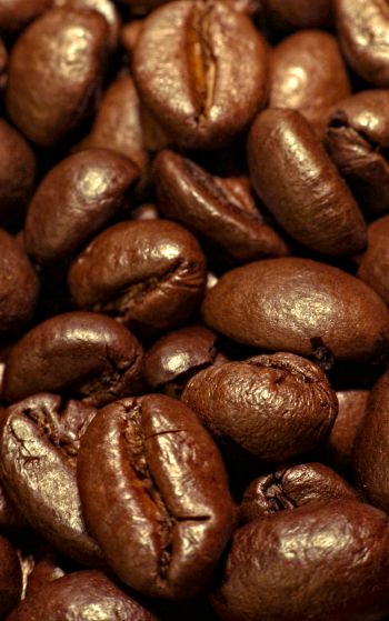 coffee, grains Wallpaper 1752x2800