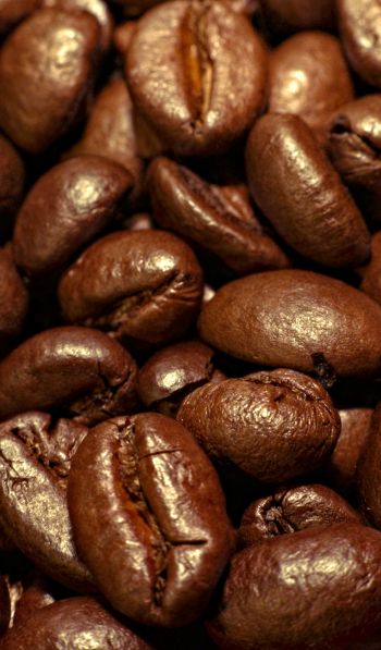 coffee, grains Wallpaper 600x1024