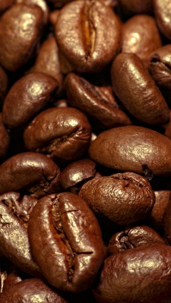 coffee, grains Wallpaper 640x1136