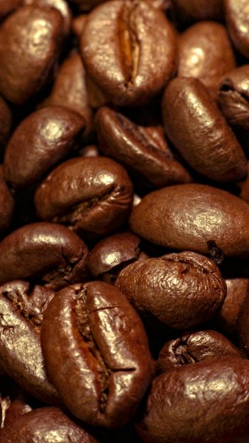 coffee, grains Wallpaper 1440x2560