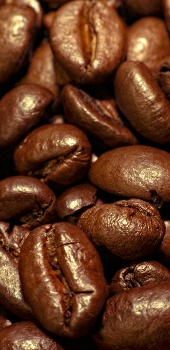 coffee, grains Wallpaper 1080x2220