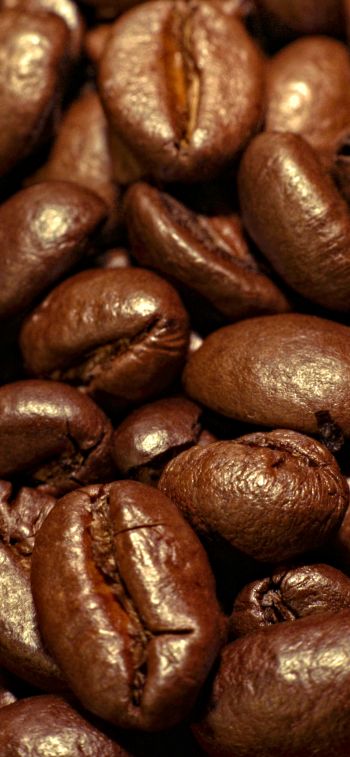 coffee, grains Wallpaper 828x1792