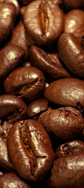 coffee, grains Wallpaper 1440x3200
