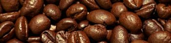 coffee, grains Wallpaper 1590x400