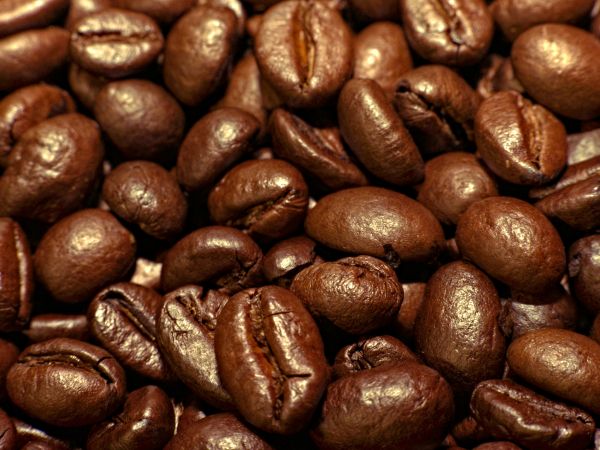 coffee, grains Wallpaper 1024x768