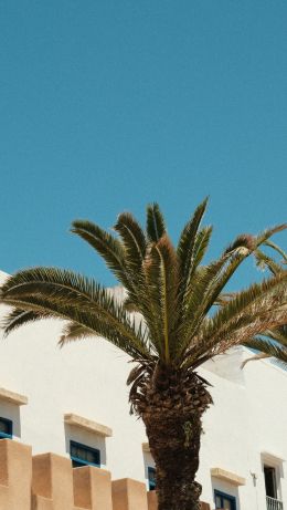 Es-Suveira, Morocco Wallpaper 640x1136