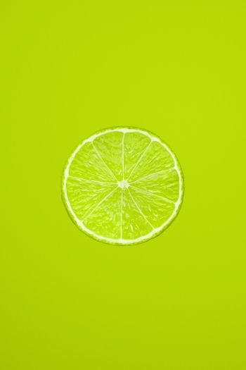 lime, citrus, green Wallpaper 640x960