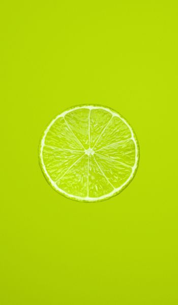 lime, citrus, green Wallpaper 600x1024