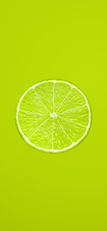 lime, citrus, green Wallpaper 828x1792