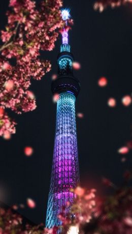 city of sumida, Tokyo, Japan Wallpaper 640x1136