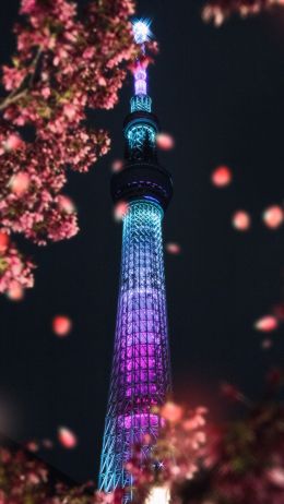 city of sumida, Tokyo, Japan Wallpaper 2160x3840