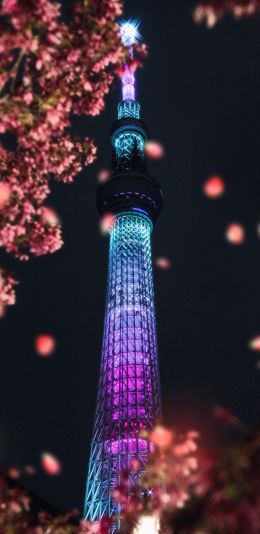 city of sumida, Tokyo, Japan Wallpaper 1440x2960