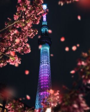 city of sumida, Tokyo, Japan Wallpaper 4160x5200