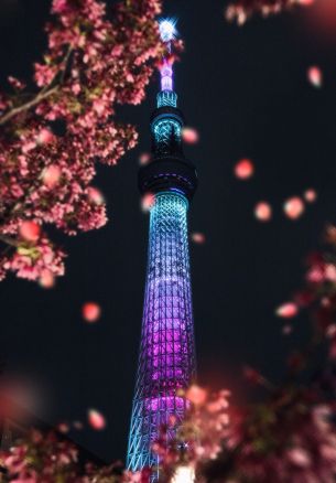 city of sumida, Tokyo, Japan Wallpaper 1640x2360