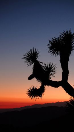 Keys View, Desert Hot Springs, USA Wallpaper 640x1136