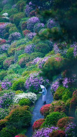 Ome, Tokyo, Japan Wallpaper 640x1136