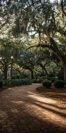 Savannah, Georgia, USA Wallpaper 720x1440