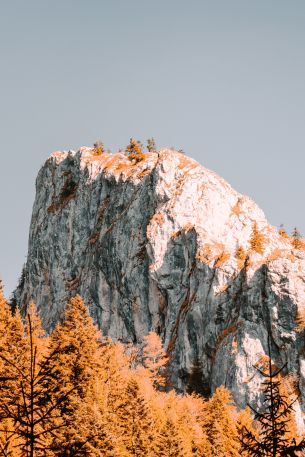 Rakicele, Romania Wallpaper 640x960