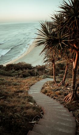 Australia, path to the sea Wallpaper 600x1024