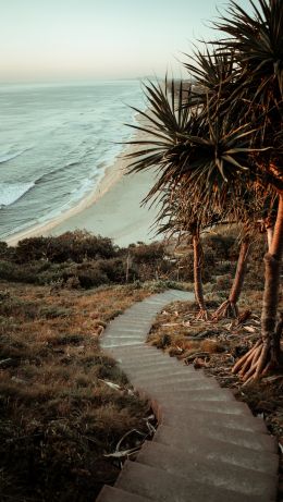 Australia, path to the sea Wallpaper 640x1136