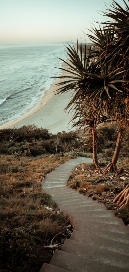 Australia, path to the sea Wallpaper 1440x3040