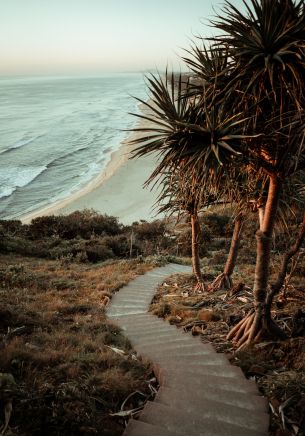 Australia, path to the sea Wallpaper 1668x2388