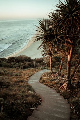 Australia, path to the sea Wallpaper 640x960