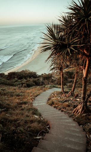 Australia, path to the sea Wallpaper 1200x2000