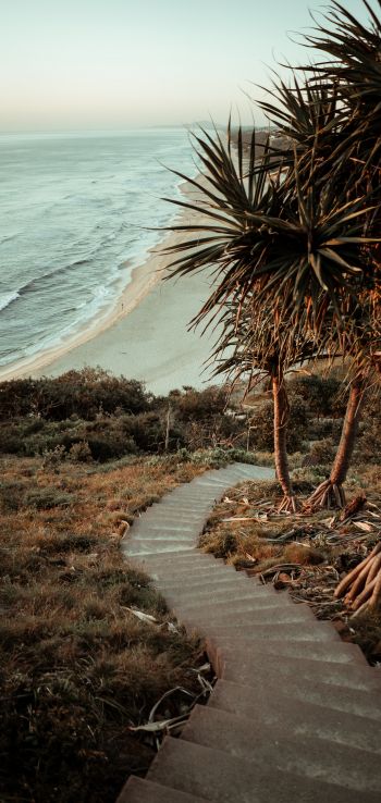 Australia, path to the sea Wallpaper 1080x2280