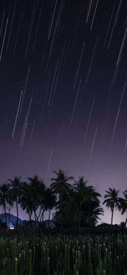 night, of nature Wallpaper 1080x2340